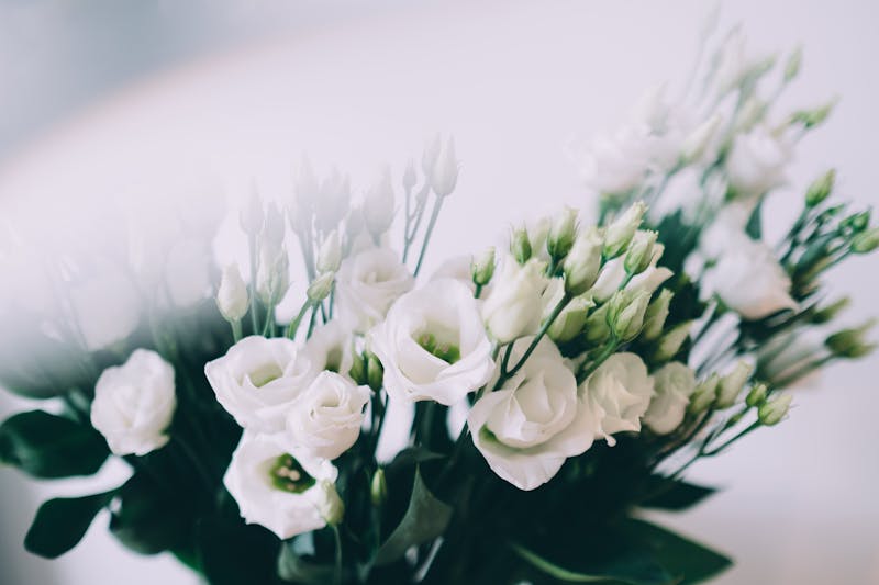 Bouquet de condoléances interflora - Pensées Sincères