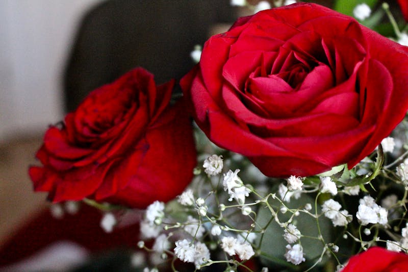 Bouquet de roses rouges romantiques