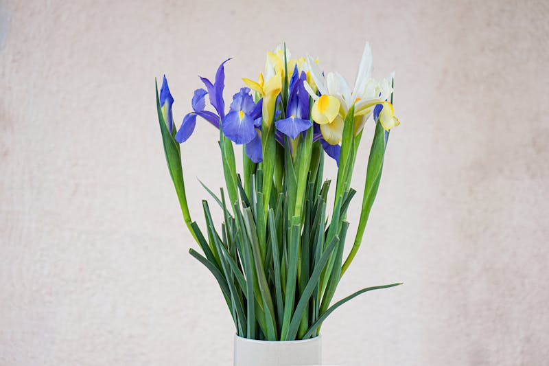 Arrangement floral printemps coloré