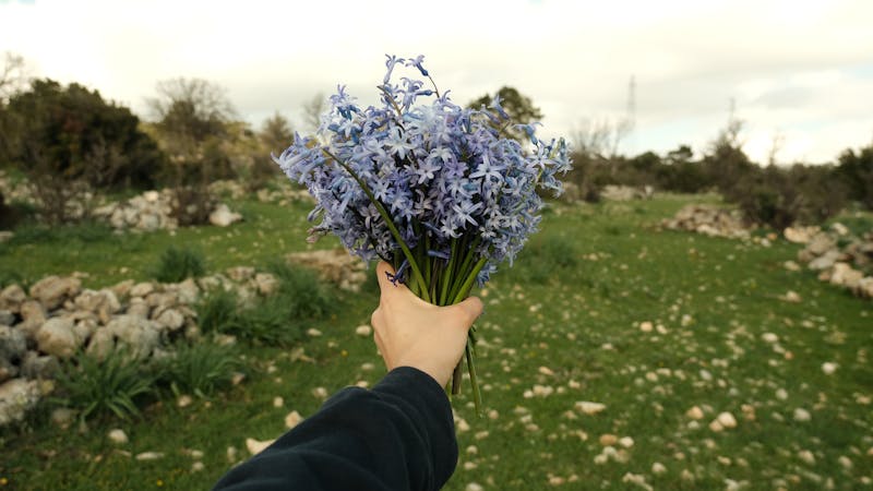 Bouquet fleurs sauvages champêtres